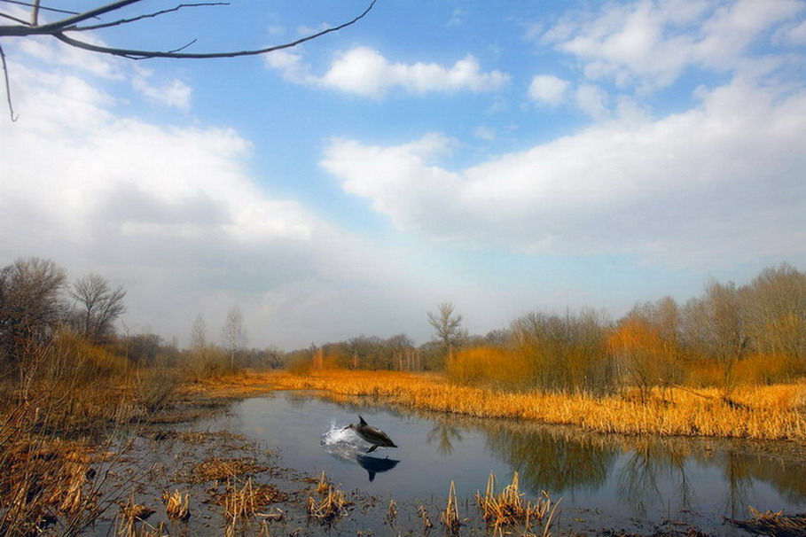 photo "***" tags: landscape, water