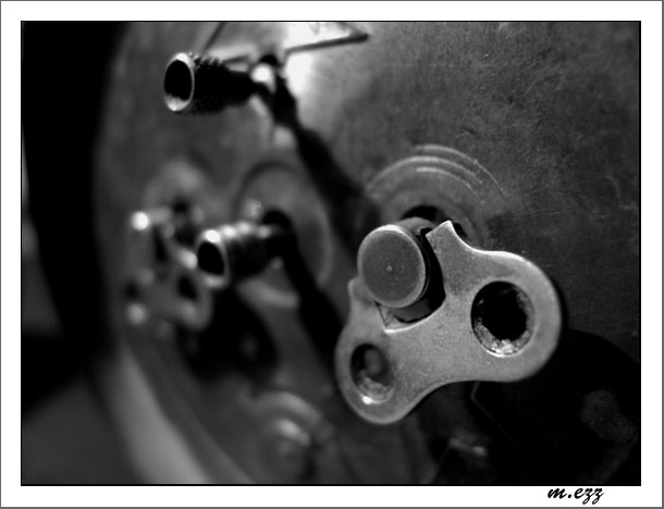 photo "old energy" tags: macro and close-up, black&white, 