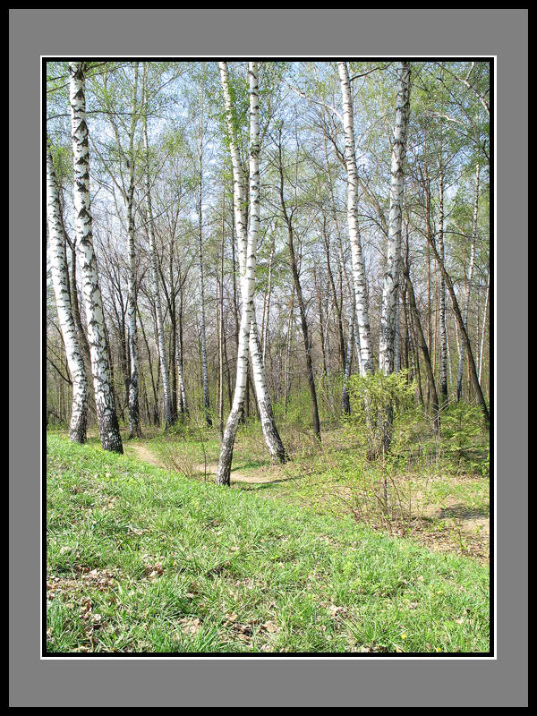 фото "Погожий денек..." метки: пейзаж, весна