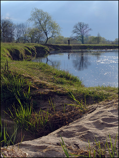 photo "After May storm" tags: landscape, spring