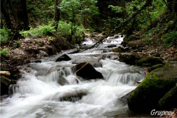 photo "Flow" tags: landscape, water