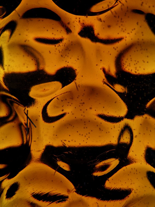 photo "Funny face of beer" tags: macro and close-up, misc., 