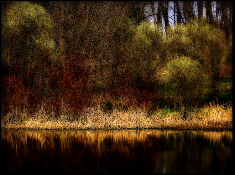 photo "***" tags: landscape, forest, water