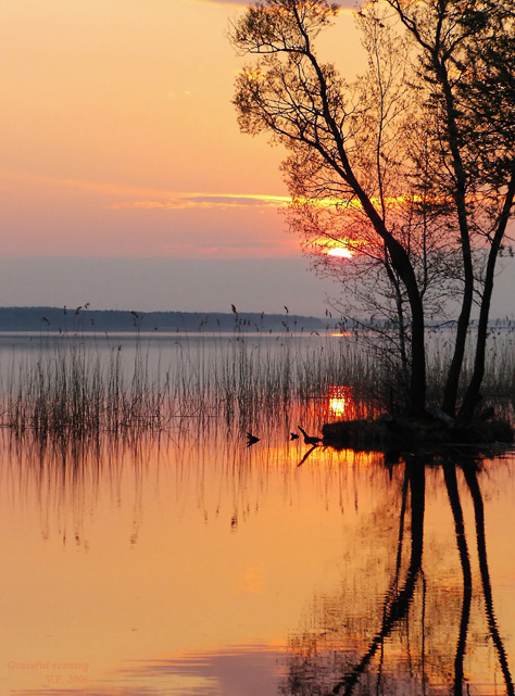 photo "Graceful evening" tags: landscape, sunset, water