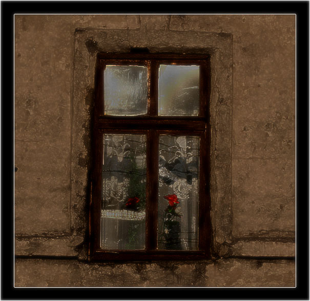 фото "Цветок.." метки: , 