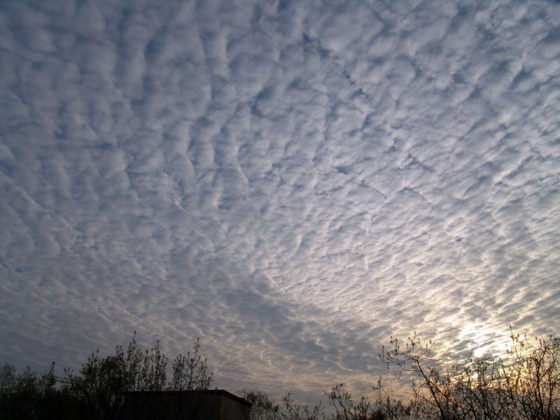 photo "***" tags: landscape, clouds, sunset