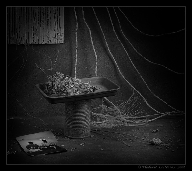 photo "Bad Dreams" tags: still life, 