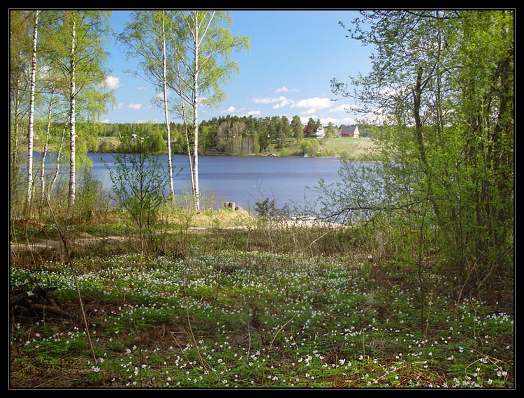 photo "Just a view" tags: landscape, spring, water