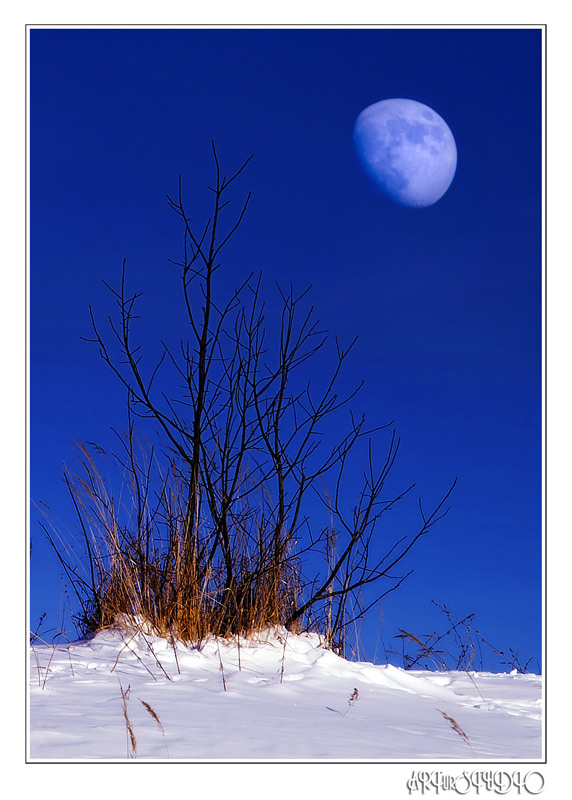 photo "Sunrise moon" tags: landscape, sunset