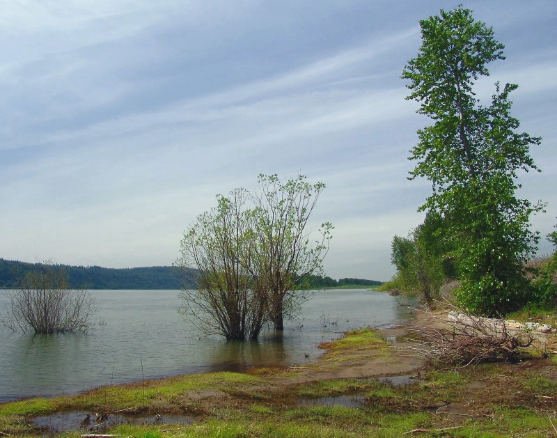 photo "***" tags: landscape, spring, water