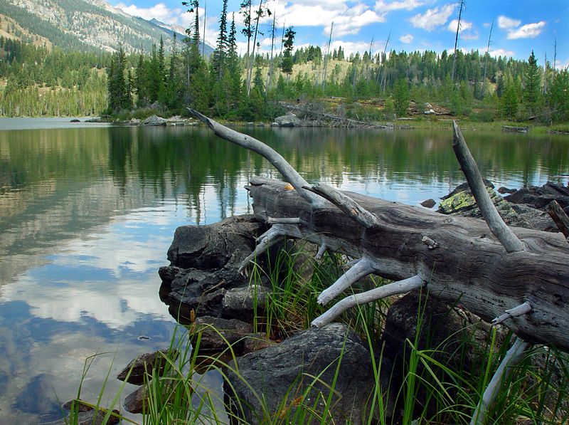 фото "Taggart Lake" метки: пейзаж, вода, горы