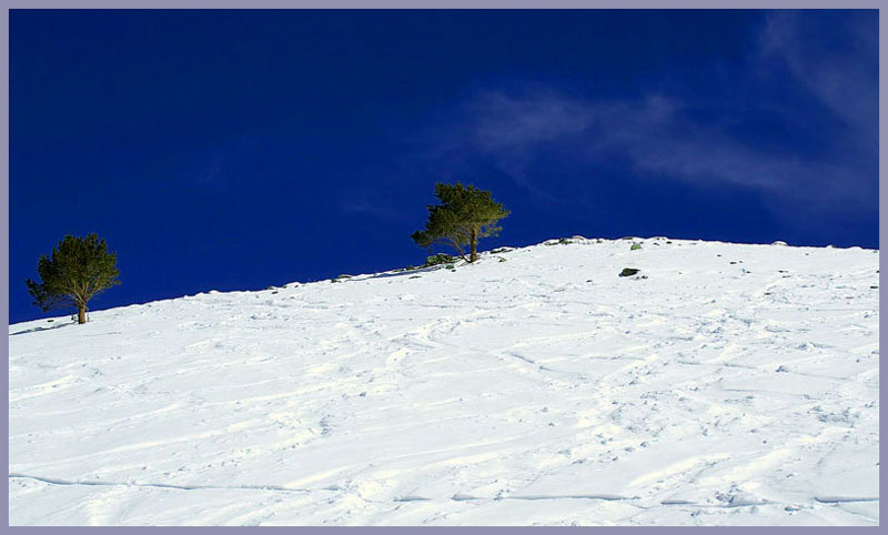 photo "Blue sky-green woods-white snou" tags: landscape, mountains