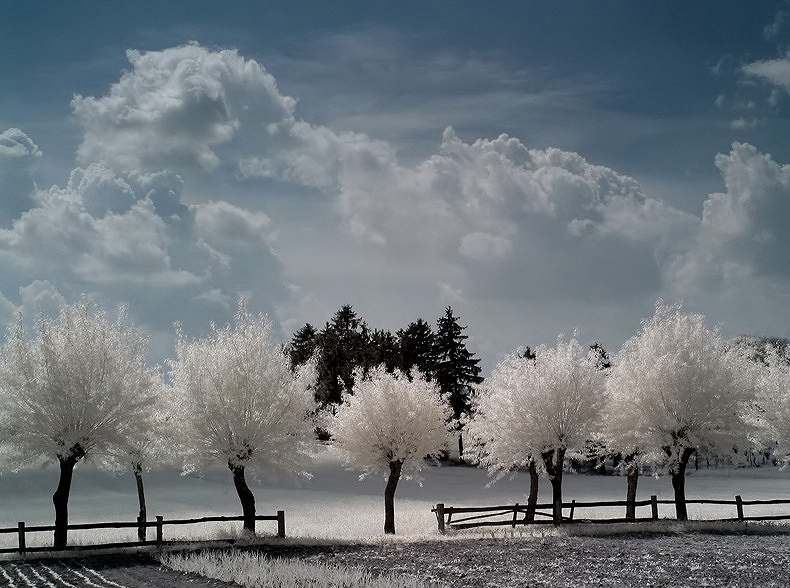 фото "ZX 13" метки: пейзаж, зима