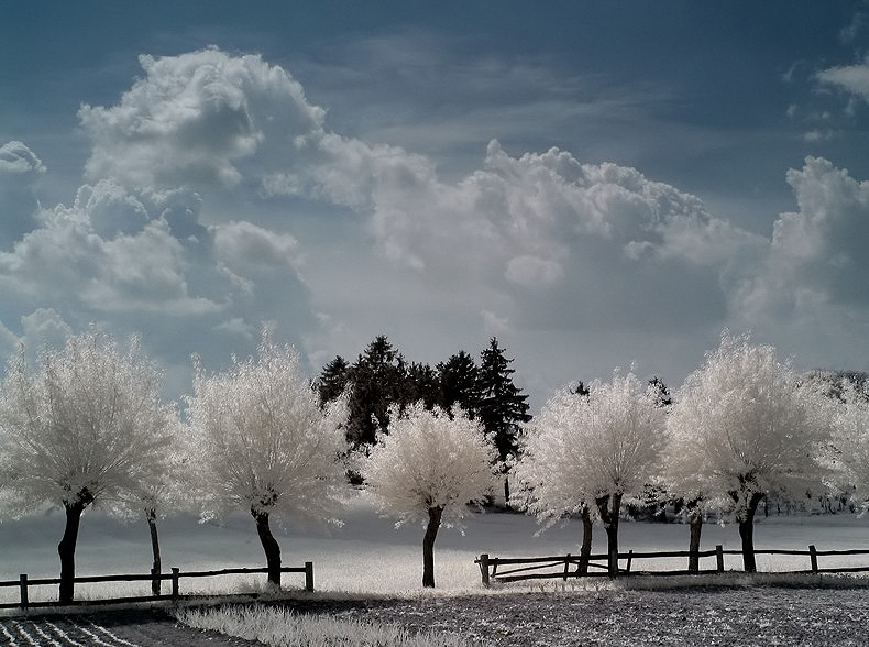 photo "ZX 13" tags: landscape, winter