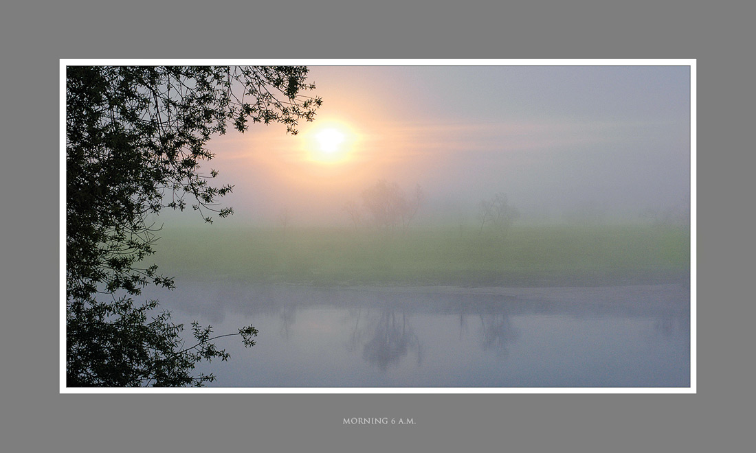 фото "Morning" метки: , 