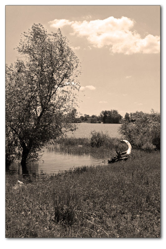 photo "the river Don..." tags: landscape, black&white, 