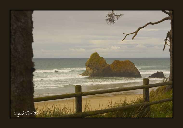 photo "Camel Crossing" tags: landscape, water