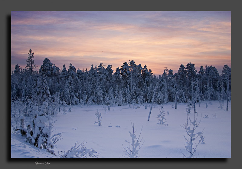 photo "***" tags: landscape, winter