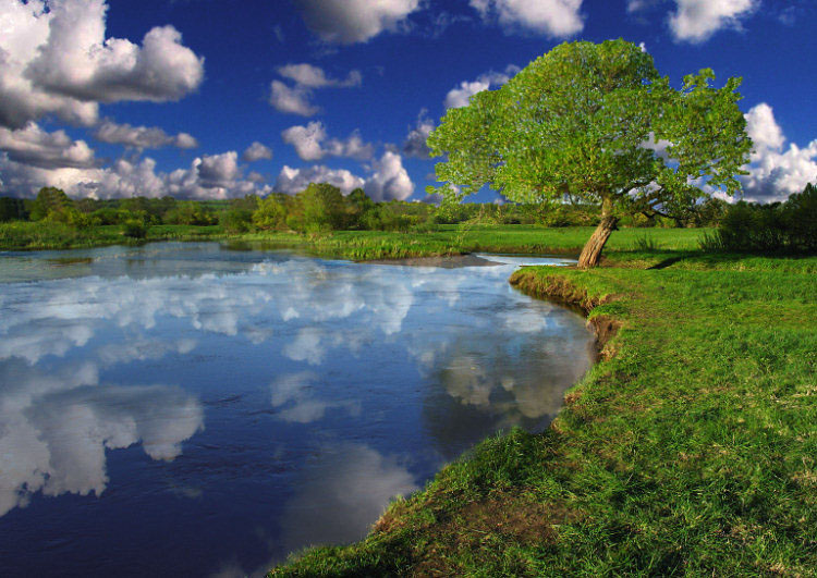 photo "Contemplation" tags: landscape, digital art, clouds, water