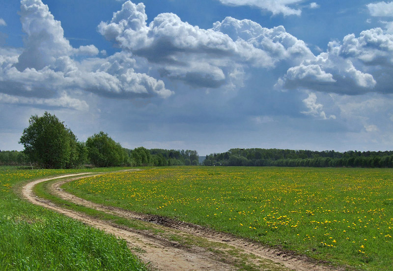 фото "Перед дождем" метки: пейзаж, весна