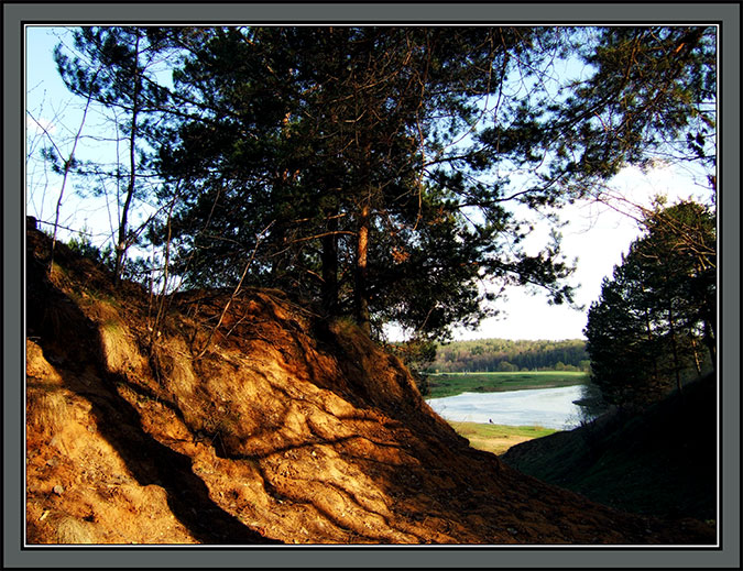 photo "Exit from Forest" tags: landscape, forest, water