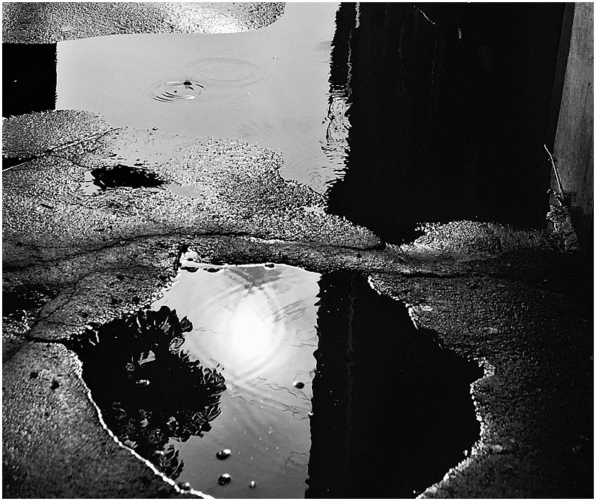 photo "After the rain" tags: black&white, 