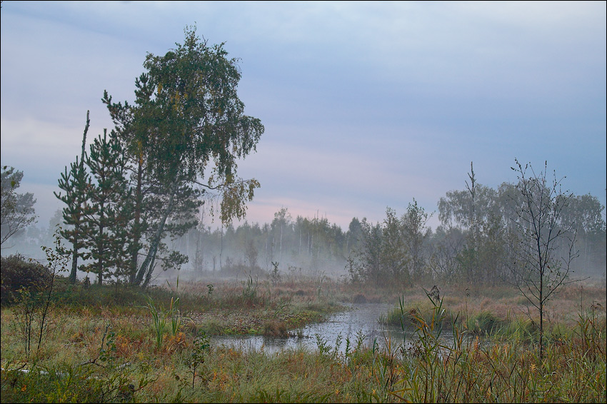photo "Early morning september swamp picture" tags: landscape, autumn