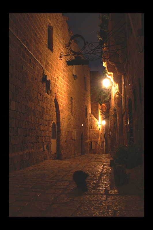 photo "A cat at the street" tags: travel, architecture, landscape, Asia