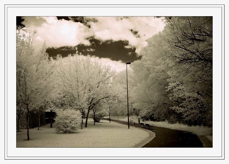 photo "Ribera-Logro&#241;o" tags: landscape, 