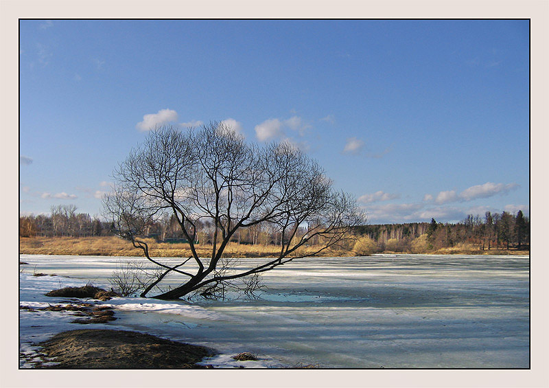 photo "***" tags: landscape, spring