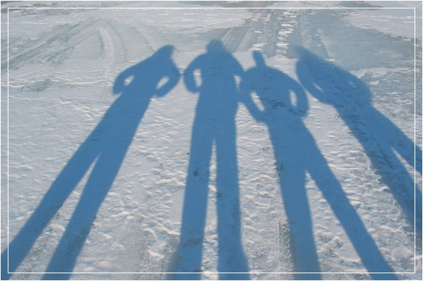 фото "Long legs gang (QC)" метки: пейзаж, путешествия, Северная Америка, зима