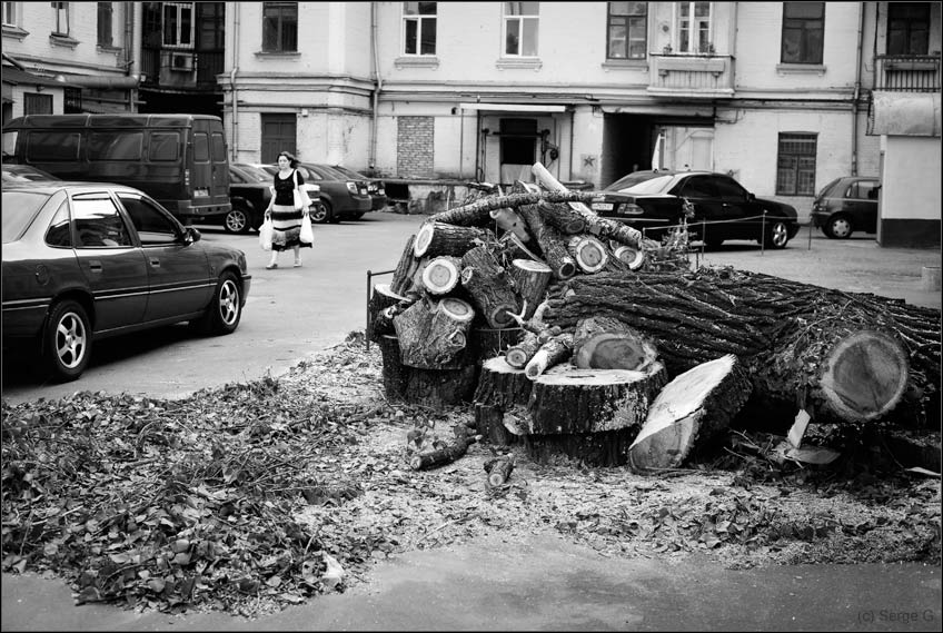 фото "О газовых проблемах, или жители Киева заготавливают дрова" метки: архитектура, черно-белые, пейзаж, 