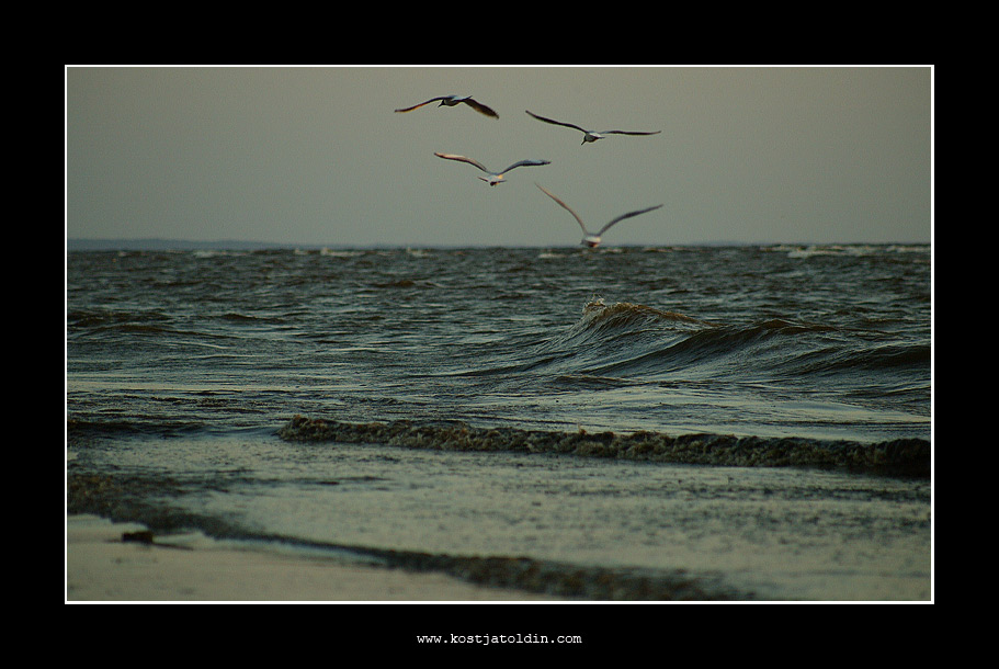 фото "..." метки: пейзаж, вода