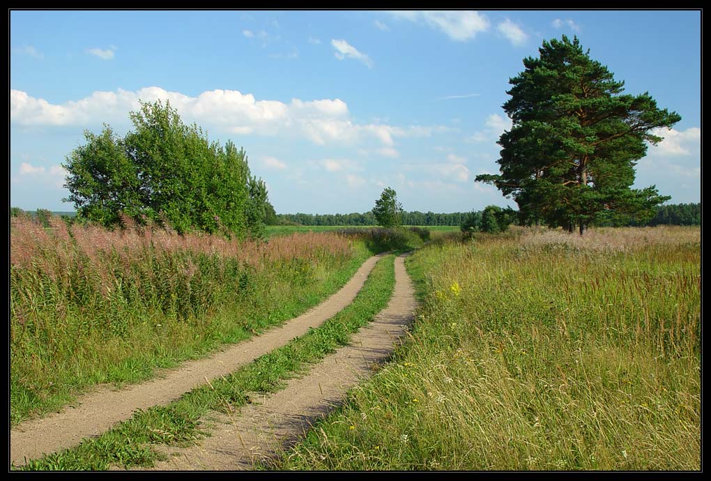 photo "Just a view 2" tags: landscape, summer