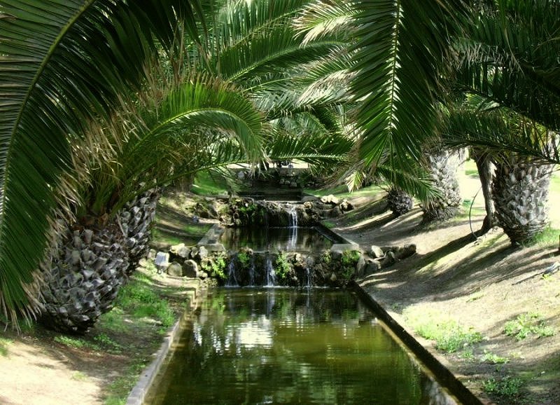 фото "Estoril garden I" метки: пейзаж, зима