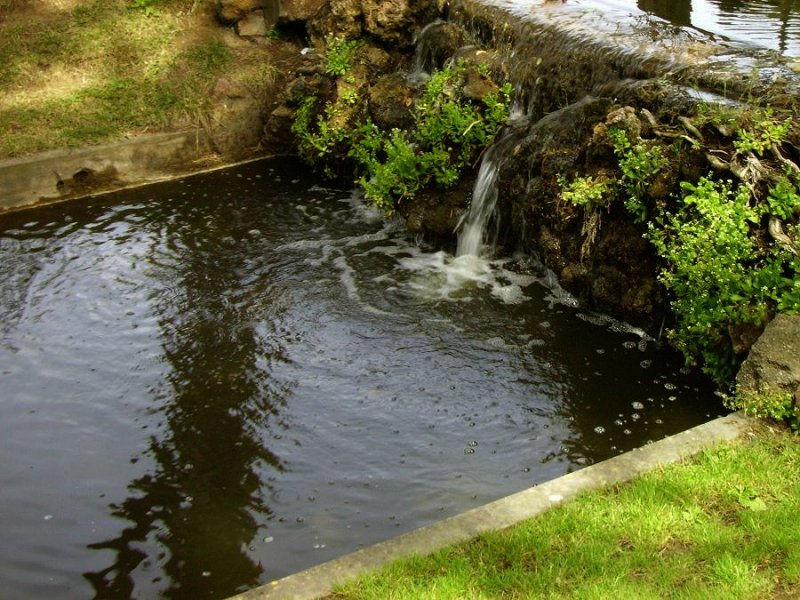 фото "Estoril garden II" метки: пейзаж, лето