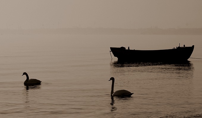 фото "Boat" метки: пейзаж, 