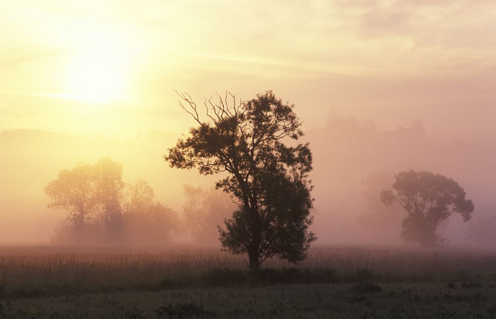 photo "Sunrise" tags: landscape, sunset