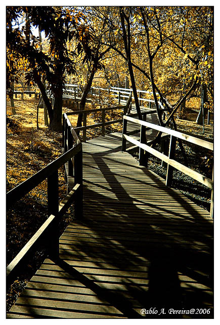 photo "***" tags: landscape, autumn