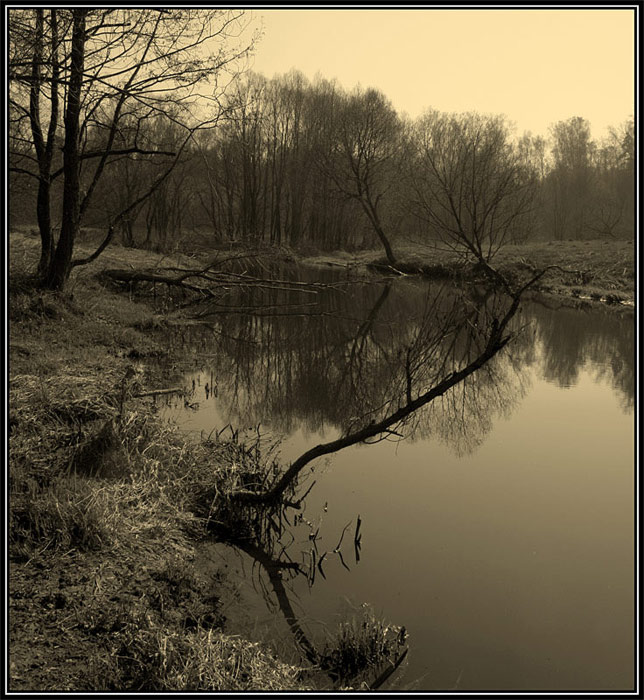 photo "Etude" tags: black&white, landscape, spring