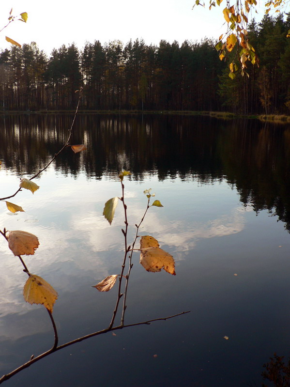 photo "Autumn lake" tags: landscape, water