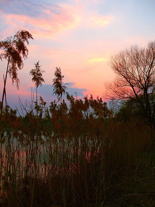 photo "***" tags: landscape, spring, sunset