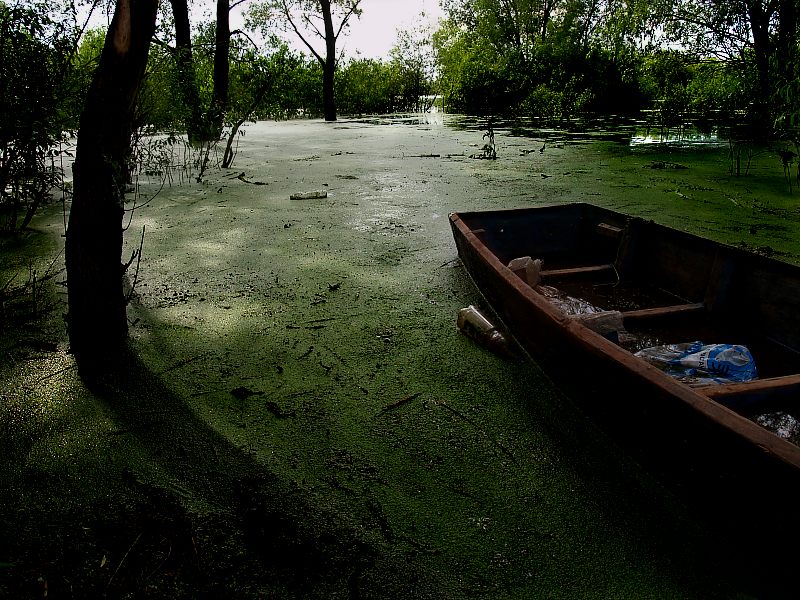 photo "Александр Кривицкий" tags: landscape, summer, water