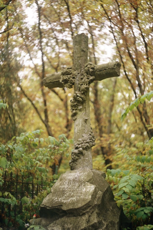 photo "At the old cemetery" tags: landscape, forest