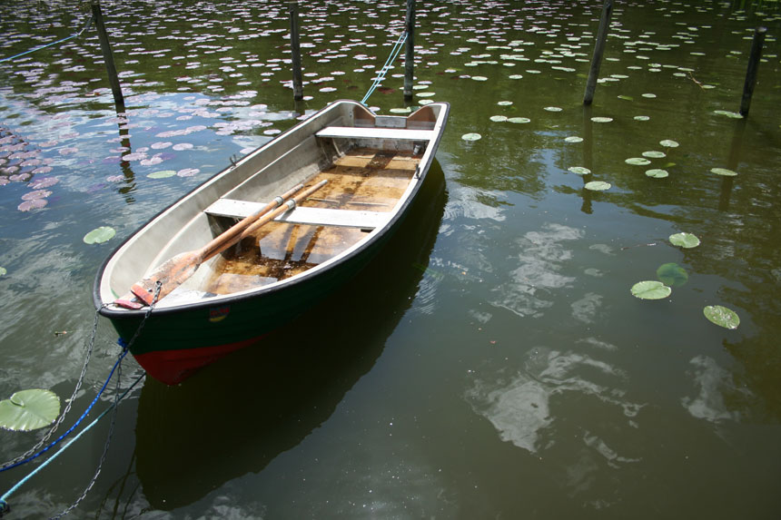 photo "***" tags: landscape, summer, water