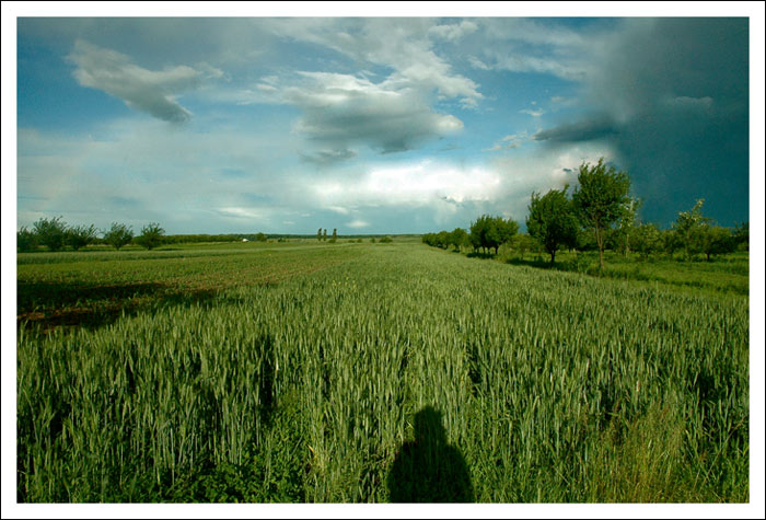 photo "I bring my tribute" tags: nature, landscape, clouds