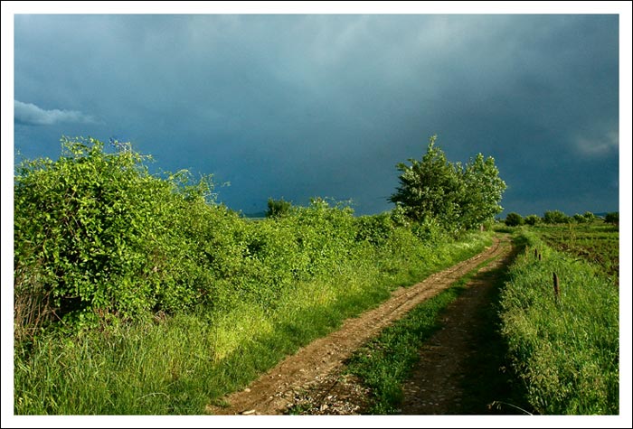 photo "My country side" tags: nature, landscape, clouds