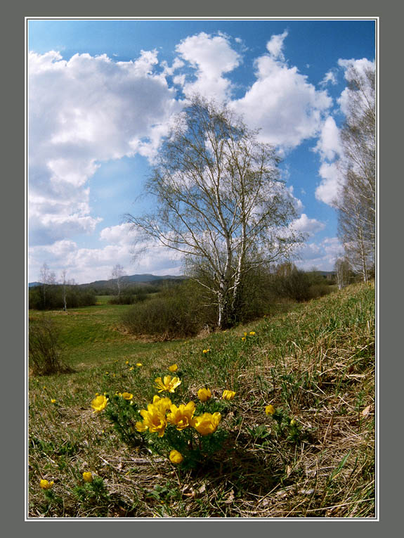 photo "***" tags: landscape, 