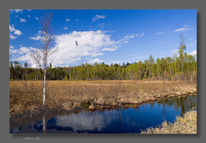 photo "***" tags: landscape, spring