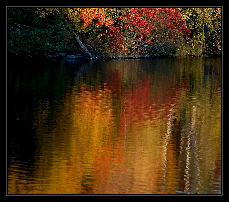 photo "***" tags: landscape, autumn